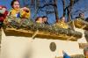 Karneval-2015_34